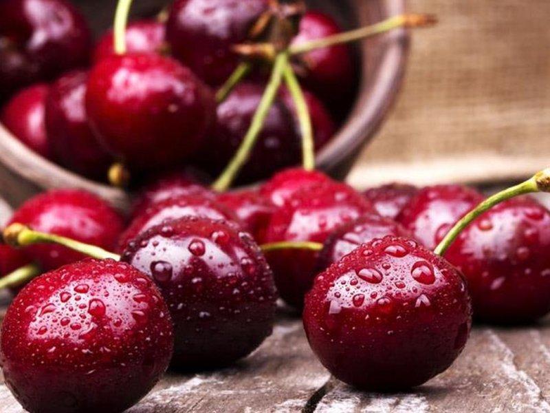 Вишня купить саженцы из питомника в Снежинске